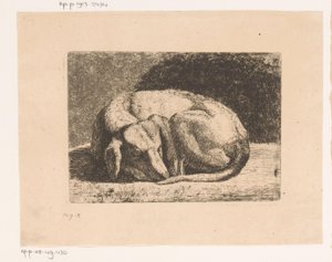 Cane che dorme da Hendrik Jozef Franciscus van der Poorten