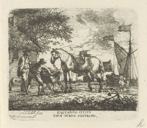 Nutrire il cavallo