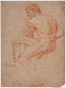 Studio di modello maschile