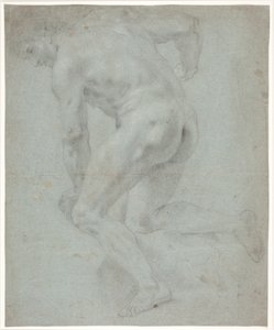 Studio di modello maschile