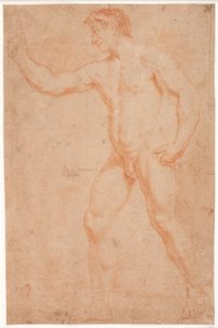 Studio di modello maschile in piedi con braccio alzato