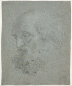 Testa di Uomo Barbuto (Apostolo Pietro) da Hendrik Krock