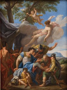Venere porta rimedi per l