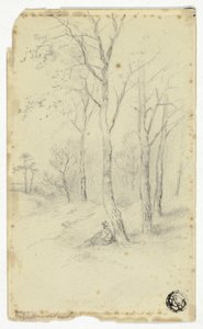 Uomo seduto sotto gli alberi