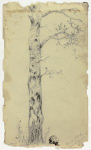 Regent Park vicino al canale da Hendrik Pieter Koekkoek