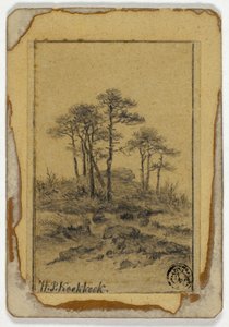 Alberi su collina rocciosa