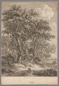 Paesaggio vicino a Zuidlaren da Hendrik Schwegman