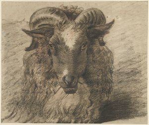 Testa di un ariete da Hendrik Stokvisch