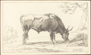 Un giovane toro al pascolo da Hendrik Voogd