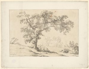 Albero nel paesaggio da Hendrik Voogd