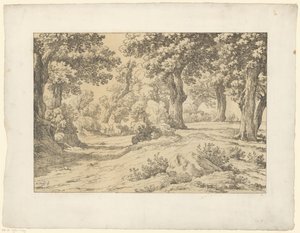 Paesaggio boschivo da Hendrik Voogd