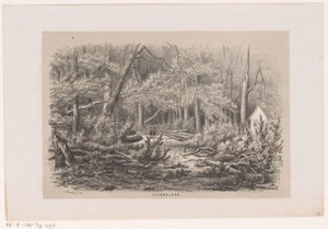 Alberi abbattuti alla Jacobalaan dopo la tempesta del 28 maggio 1860 da Hendrik Wilhelmus Last