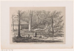 Albero caduto presso la società, dopo la tempesta del 28 maggio 1860 (Album di dieci schizzi litografati, rappresentanti scene della distruzione causata dalla tempesta del 28 maggio 1860 nella foresta di 