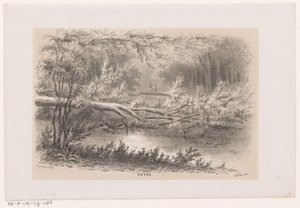 Albero abbattuto, dopo la tempesta del 28 maggio 1860 (Vijver, Album di dieci schizzi litografati, rappresentanti Scene della Distruzione causata dalla tempesta del 28 maggio 1860 nella foresta dell