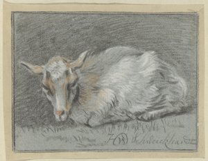 Capra sdraiata da Hendrik Willem Schweickhardt (signed by artist)