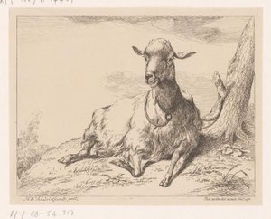 Capra sdraiata da Hendrik Willem Schweickhardt