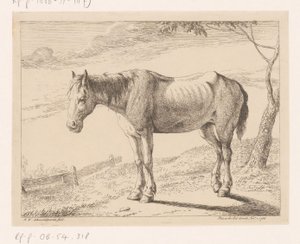 Cavallo da Hendrik Willem Schweickhardt