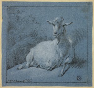 Capra