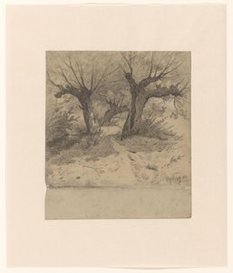Veduta del bosco