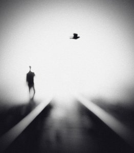 Uomo solitario, uccello in volo da Hengki Lee
