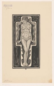 Donna nuda in piedi con capelli lunghi da Henk Schilling