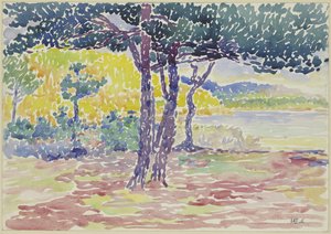 Coste del mare (sud della Francia) da Henri Edmond Cross