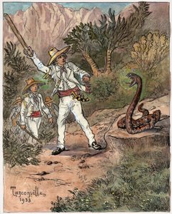 Attacco di serpente