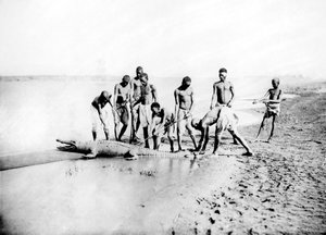Caccia a un coccodrillo, Nubia, Egitto, 1887 da Georges Henri Bechard