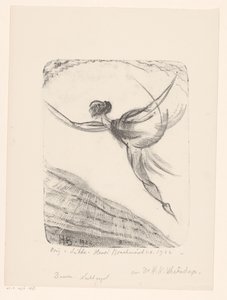 Danza. Uccello notturno