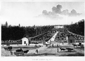Vista del giardino del re: il giardino delle piante a Parigi - incisione di Courvoisier