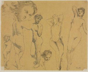 Studi di nudi femminili