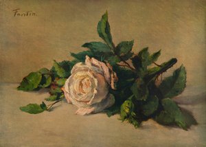 Rosa Bianca, c1863, 1938