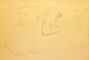 Tre scimmie da Henri Gaudier Brzeska