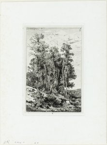Betulle e querce da Henri Joseph Harpignies