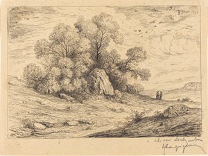 Gruppo di alberi con rocce