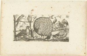 Diciotto uccelli da Henri Le Roy
