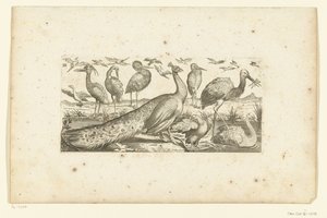 Diciannove uccelli da Henri Le Roy