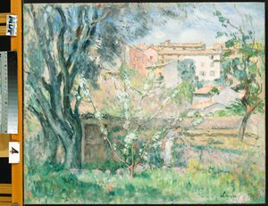 Il giardino dell