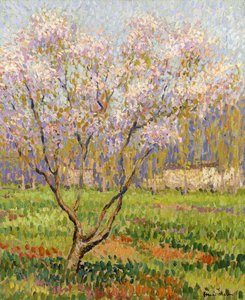 Melo in Fiore da Henri Martin