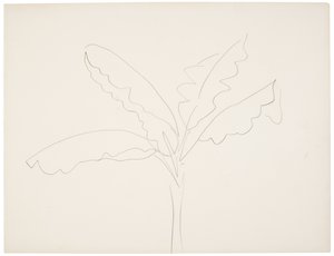Banana tree (Tahiti) da Henri Matisse