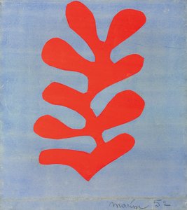 Alghe rosse su sfondo blu cielo