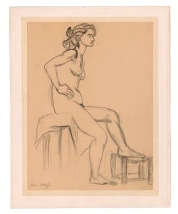Nudo femminile seduto, un piede su uno sgabello da Henri Matisse