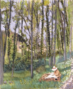Sottobosco da Henri Matisse