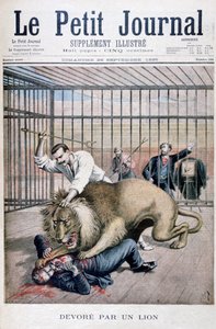 Attacco del leone, 1895