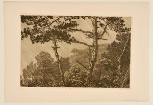 [Alberi sotto un acquazzone] da Henri Rivière