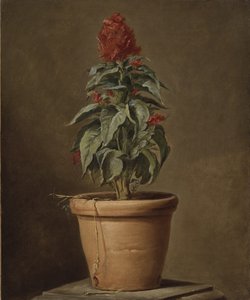 Una pianta in vaso da Henri Roland de la Porte