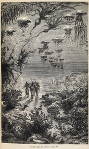 Illustrazione per 