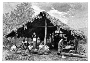 Donne indiane delle terre calde sul versante del Pacifico, America Centrale, c1890