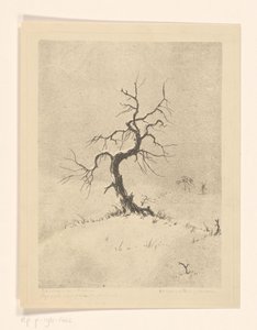 Albero solitario da Henri Verstijnen (signed by artist)