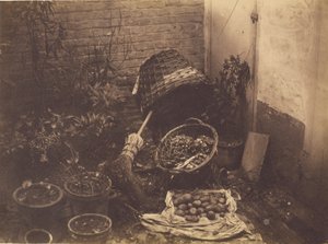 [Natura morta con cesti di paglia, ginestra, sacco di patate aperto e piante in vaso].